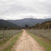 Foto de QUILPUE
