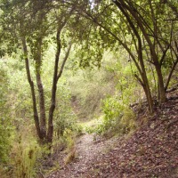 Foto de QUILPUE