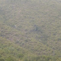 Foto de QUILPUE