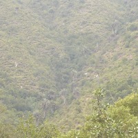 Foto de QUILPUE