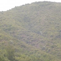 Foto de QUILPUE