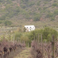 Foto de QUILPUE