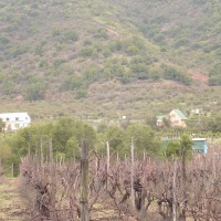 Foto de QUILPUE