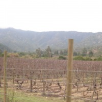 Foto de QUILPUE