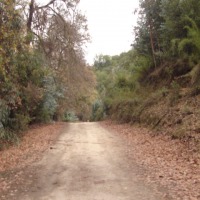 Foto de QUILPUE