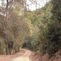 Foto de QUILPUE