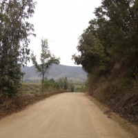 Foto de QUILPUE