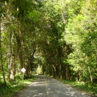 Foto de Buga- Valle del Cauca