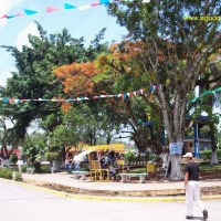Foto de Santa Cruz