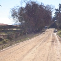 Foto de LIMACHE
