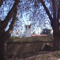 Foto de LIMACHE