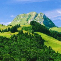 Foto de Gruyer