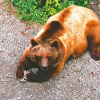 Foto de Berna