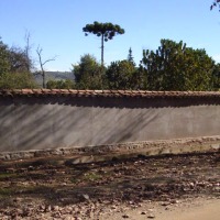 Foto de LIMACHE
