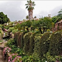 Foto de La Orotava