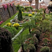 Foto de La Orotava