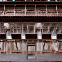 Foto de La Orotava