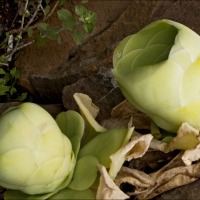 Foto de La Gomera