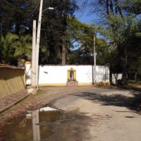 Foto de LIMACHE