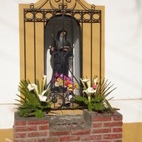 Foto de LIMACHE