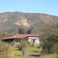 Foto de LIMACHE
