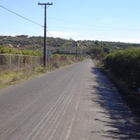 Foto de LIMACHE