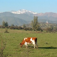 Foto de La Dehesa
