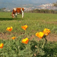 Foto de La Dehesa