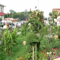 Foto de Edirne