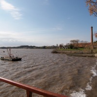 Foto de COLONIA