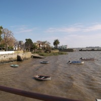 Foto de COLONIA