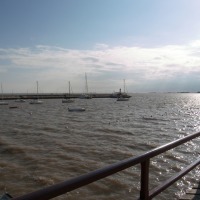 Foto de COLONIA