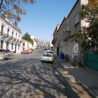Foto de COLONIA