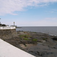 Foto de COLONIA