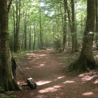 Foto de Montseny