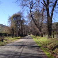 Foto de LIMACHE