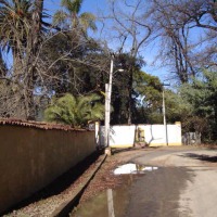 Foto de LIMACHE