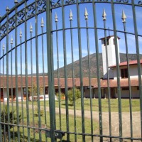 Foto de LIMACHE