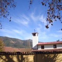 Foto de LIMACHE