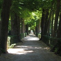 Foto de Madrid