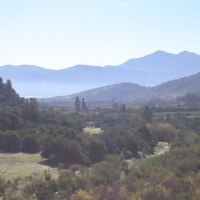 Foto de LIMACHE