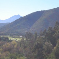 Foto de LIMACHE