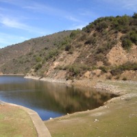 Foto de LIMACHE