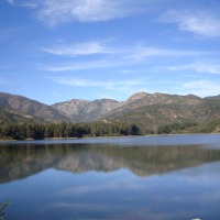 Foto de LIMACHE