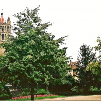 Foto de Lausana