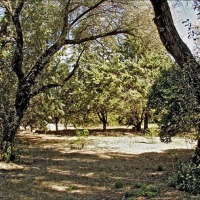 Foto de Santa María de Huerta