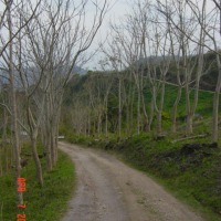 Foto de Santa Barbara