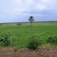 Foto de Miches