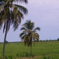 Foto de Miches