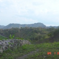 Foto de Santa Barbara
